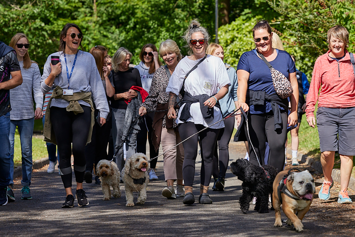 Staff walking in a park on wellbeing day