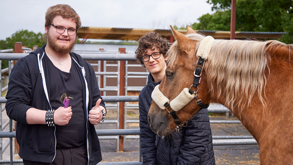 ILS students on a farm with a horse
