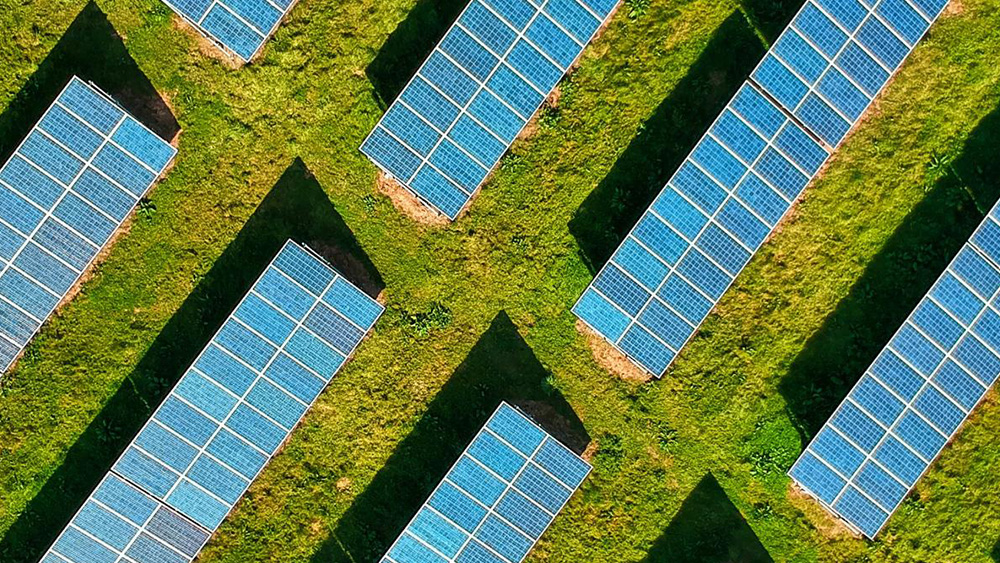 Solar panels in field