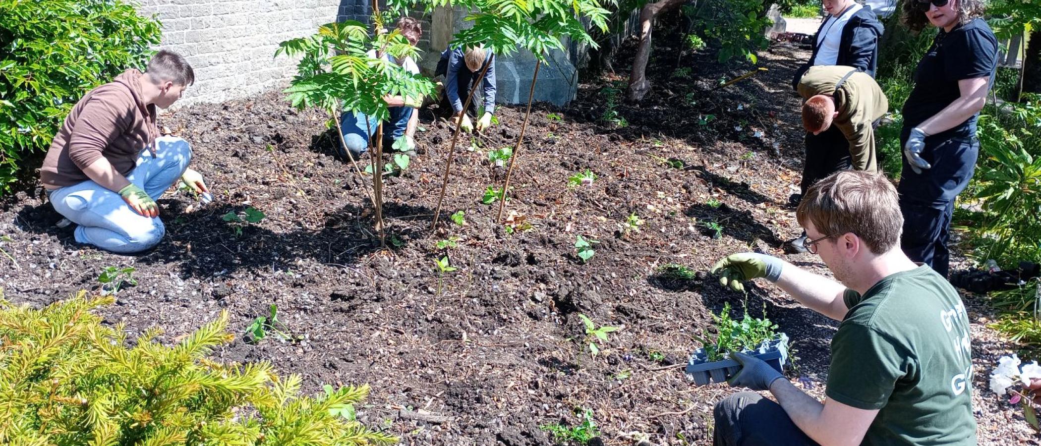 College and University partnership in bloom