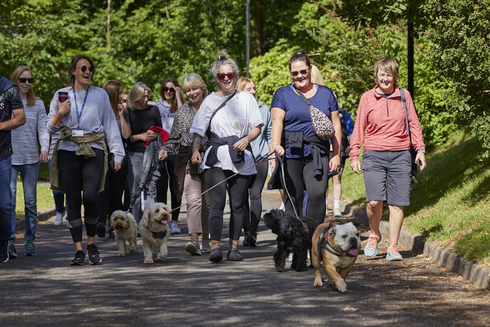Group going on a walk with dogs