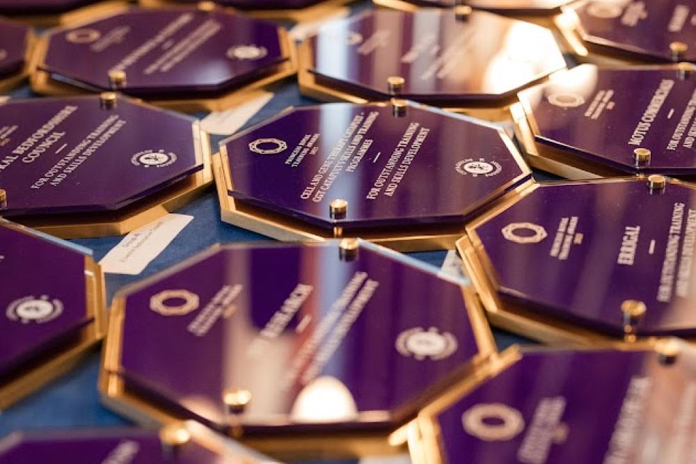 Princess Royal Training Awards Award