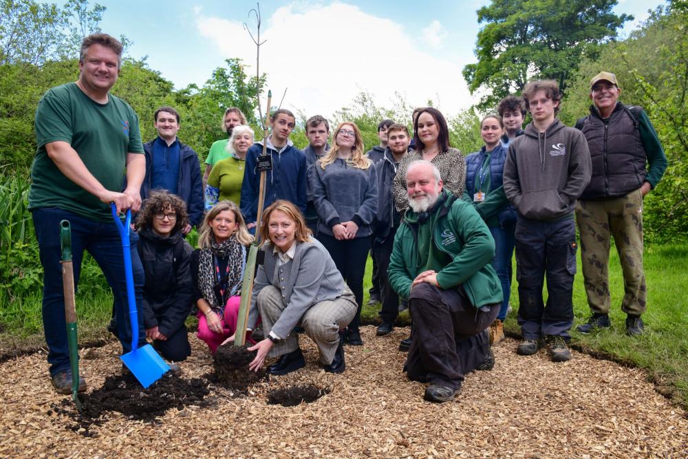 College welcomes Tree of Hope sapling